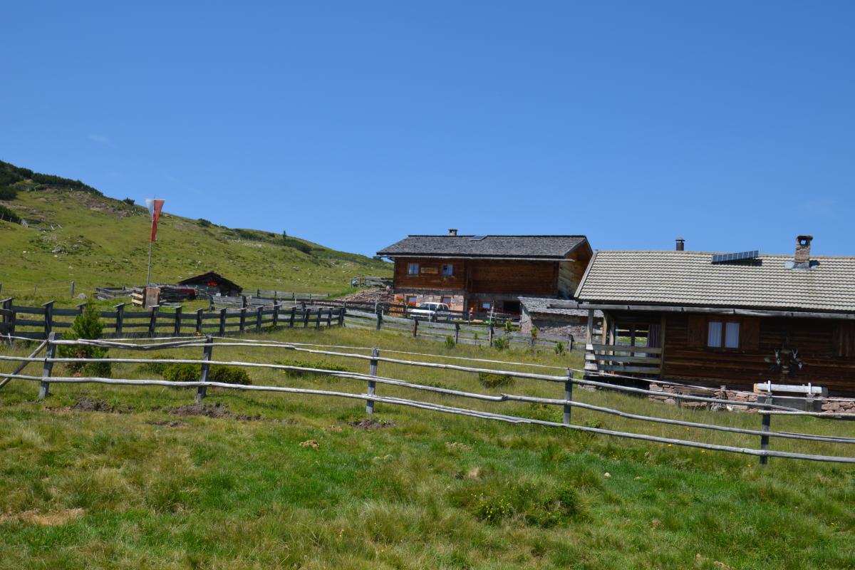 Latschenoelbrennerei und Platzer Alm 23.07.2019